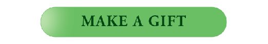 MAKEAGIFTBUTTONv3