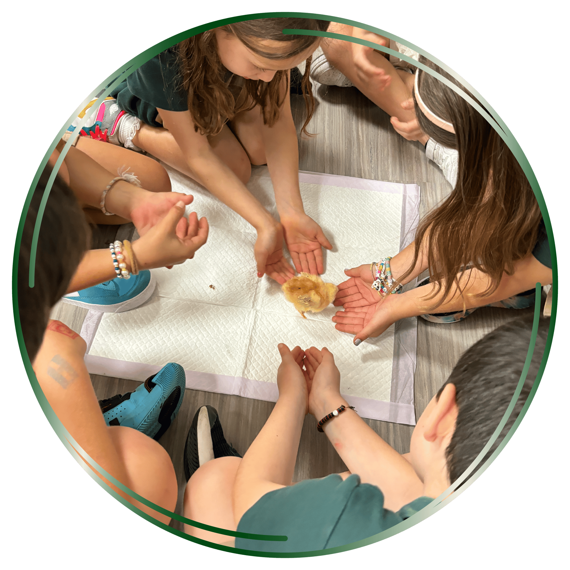 PCS_PhotoFrames_v2-03